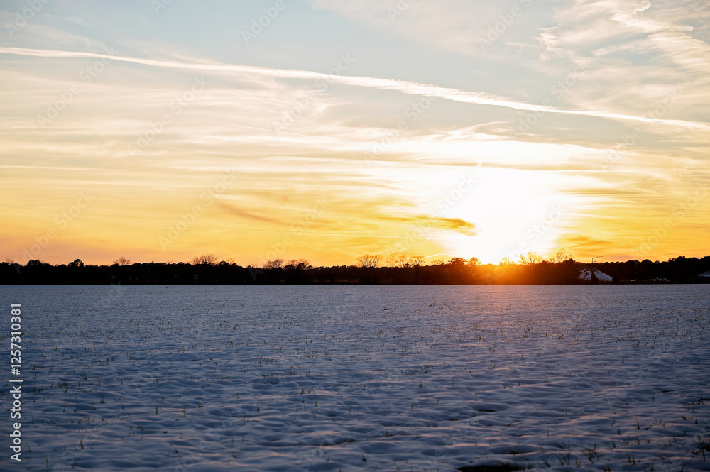 Fototapeta premium A snow-covered field at sunset with a golden sky and distant farm