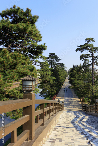 草加松原遊歩道 百代橋