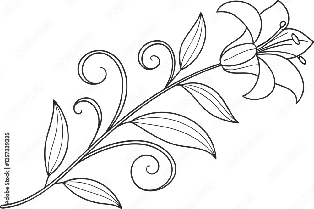Obraz premium Elegant Line Drawing of a Lily Flower with Swirls