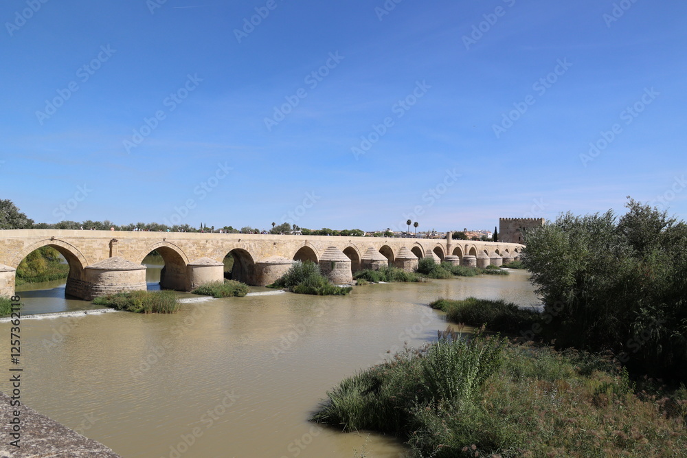 The Puente Romano-Roman Bridge-in the Spanish city of Cordoba, Andalusia, Spain The Puente Romano-Roman Bridge-in the Spanish city of Cordoba, Andalusia, Spain