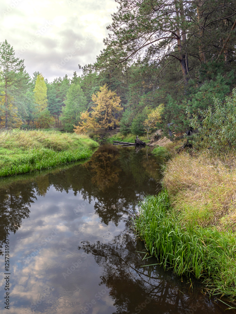 River with a reflection of trees in the water River with a reflection of trees in the water