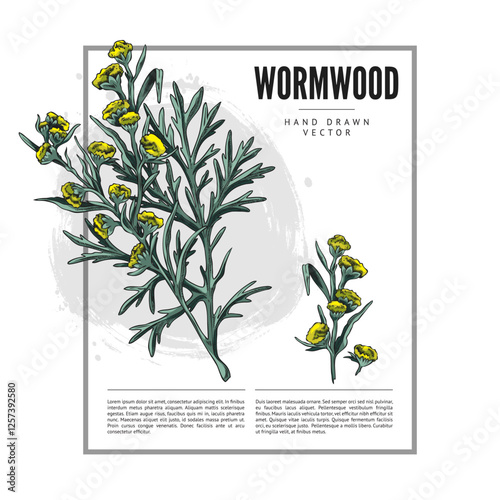 Wormwood plant sketch label vector design, hand drawn branch, flowers and leaves, medical plant Artemisia essential herb