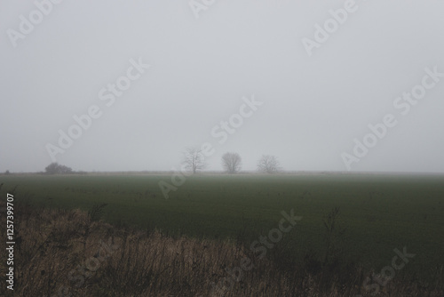 Obraz na płótnie Dramatic field with trees in the fog. Bad weather in countryside. Foggy day in farm field with copy space. Ghostly misty landscape. Spleen concept. Moody weather. Foggy autumn nature. Beauty in nature w salonie