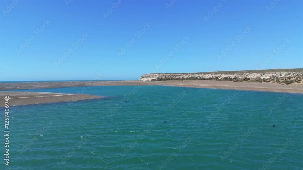 Amazing aerial movement over the long coastline with clear turquoise waters at Punta Delgada, Peninsula Valdes, Argentina. Amazing aerial movement over the long coastline with clear turquoise waters at Punta Delgada, Peninsula Valdes, Argentina.