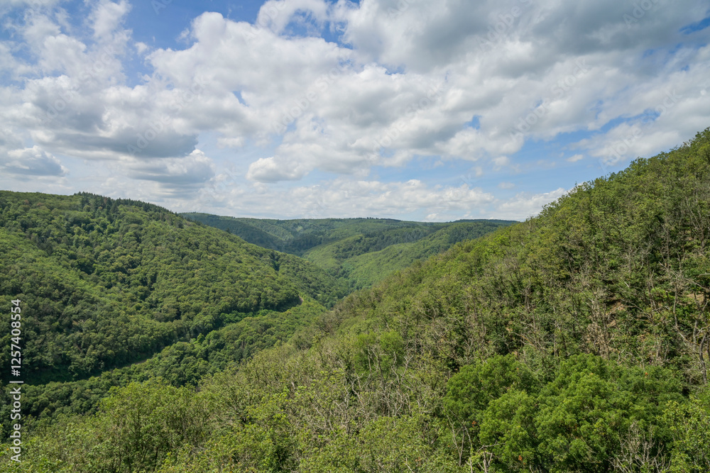 Hunsrück, Wald, Mühltal bei Boppard, Rheinland-Pfalz, Deutschland Hunsrück, Wald, Mühltal bei Boppard, Rheinland-Pfalz, Deutschland