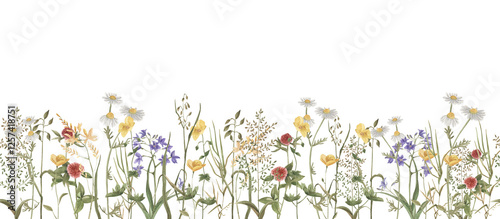 Fototapeta Naklejka Na Ścianę i Meble -  seamless pattern watercolor wild flowers