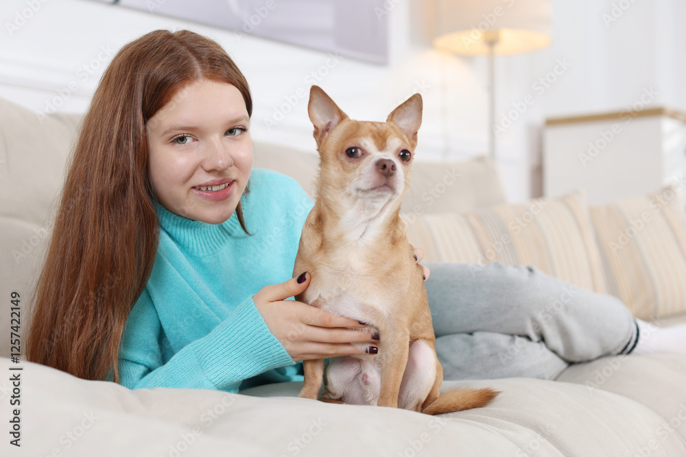 Teenage girl with her cute Chihuahua dog on sofa at home Teenage girl with her cute Chihuahua dog on sofa at home