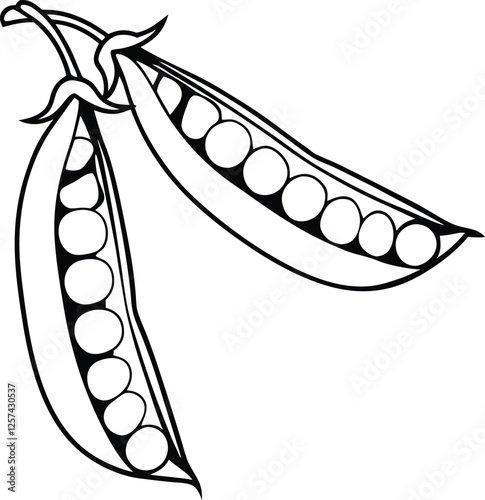 Peas vector art with a white background. Pod of green peas on white background illustration
