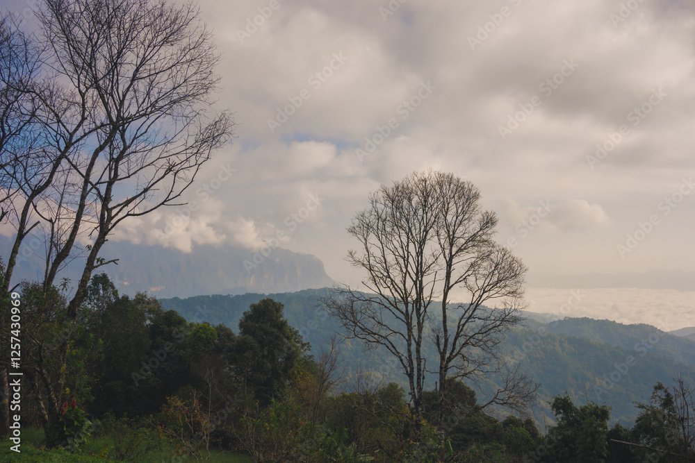 landscape and travel concept with sunrise and layer of mountain and mist with forest on morning landscape and travel concept with sunrise and layer of mountain and mist with forest on morning