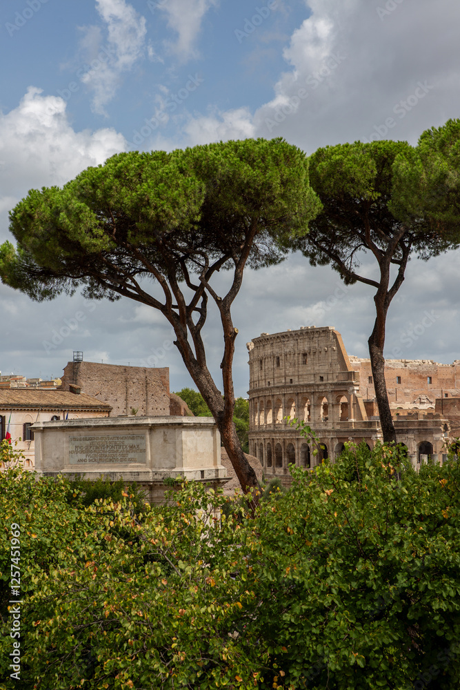 Fototapeta premium Rome