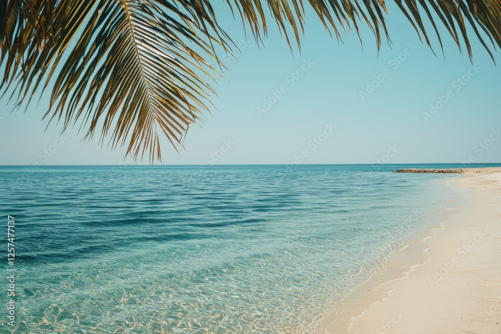 Fototapeta premium Tranquil beach with clear waters and palm trees under a bright blue sky inviting relaxation and leisure during the warm summer day