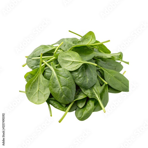 Pile of fresh green baby spinach leaves isolated on a transparent background