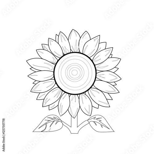 Illustration of a colorless sunflower. Suitable for coloring books