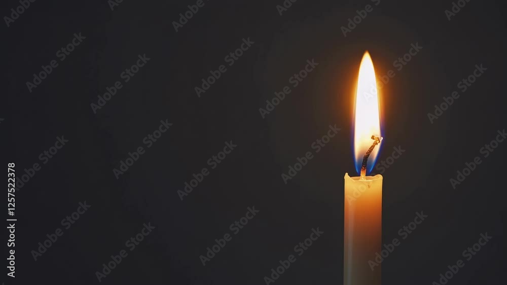 A close-up video of a single candle flame against a dark background, capturing the serene and calming ambiance from a side angle. A close-up video of a single candle flame against a dark background, capturing the serene and calming ambiance from a side angle.