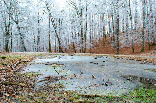 Wallpaper Mural Frozen lake in the autumn Torontodigital.ca