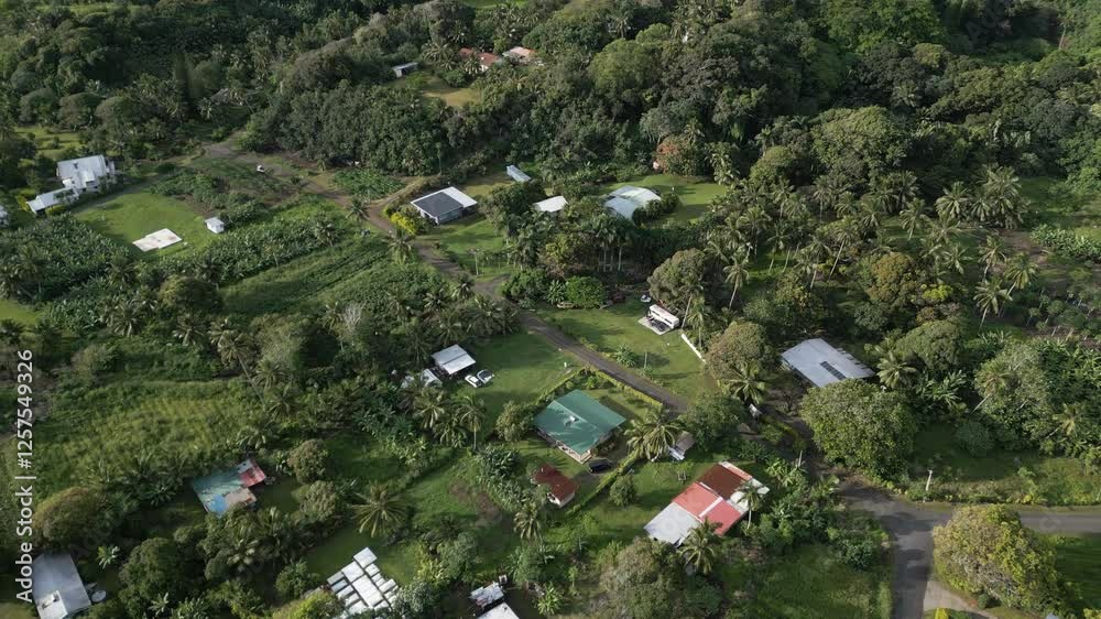 Aerial panoramic overview of quiet South Pacific neighborhood with rural homes and farmlands atb ase of mountains