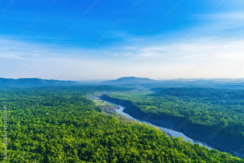 River flowing through a dense green forest landscape with trees and natural surroundings River flowing through a dense green forest landscape with trees and natural surroundings