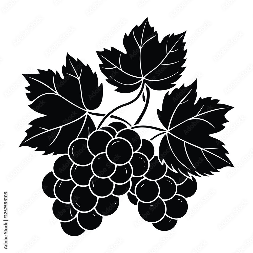 Fototapeta premium bunch of grapes vector illustration