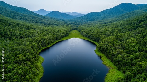 At dawn, a beautiful vista unfolds with verdant mountains and a sparkling lake, tinted by the dawn's first light. This idyllic scene underscores the importance of a watershed forest, promoting the