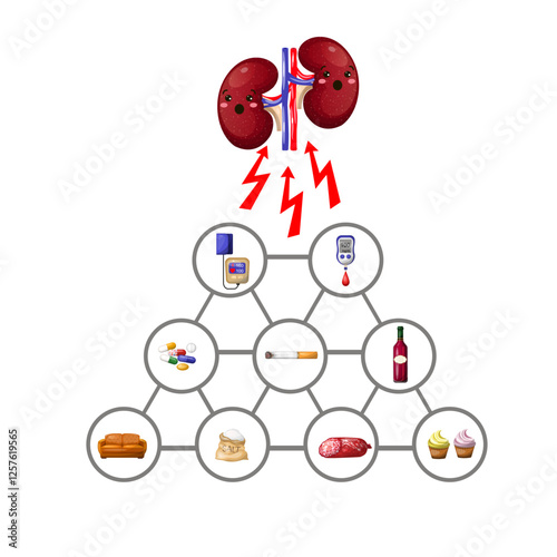 Set kidney factors negatively