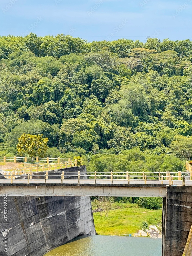 Concrete Bridge Over a Dam with Lush Green Forest in East Java, Indonesia Concrete Bridge Over a Dam with Lush Green Forest in East Java, Indonesia