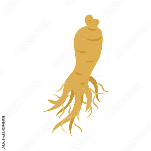 オタネニンジン(高麗人参、朝鮮人参）。フラットなベクターイラスト。
Oriental ginseng root. Flat vector illustration.