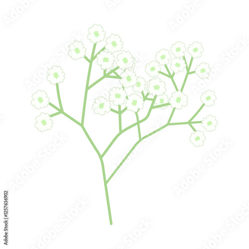 カスミソウ。フラットなベクターイラスト。
Gypsophila (baby's breath). Flat vector illustration.