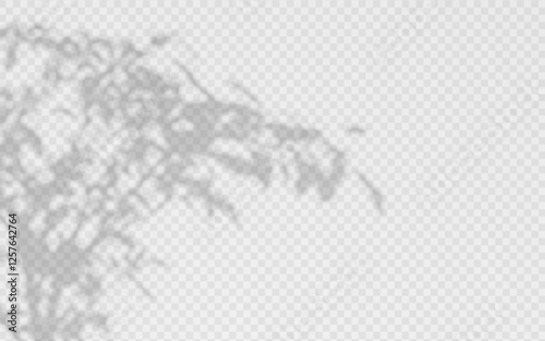 Shadow overlay from a tree branch isolated on a transparent background.