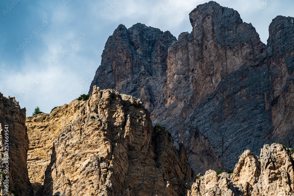 Environment, vegetation and nature of the Ampezzo Dolomites, dominated by Mount Cristallo. Environment, vegetation and nature of the Ampezzo Dolomites, dominated by Mount Cristallo.