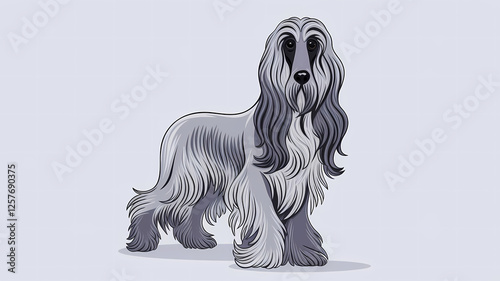 Obraz na płótnie afghan hound on white background