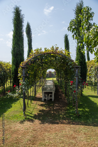 Summer gazebo with blooming roses