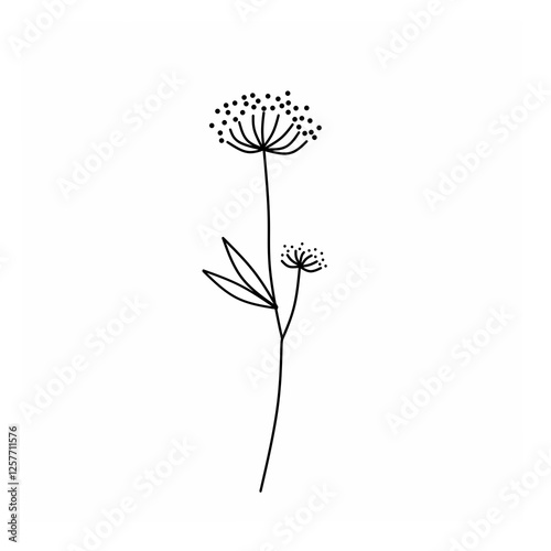 flower isolated on white background vector illustration of a flower abstract flower background hand drawn flowers