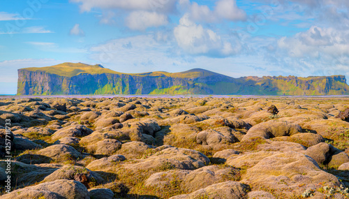 Green moss field of Cetraria Iceland moss - Cornered (angular) mountains formations - Iceland  photo