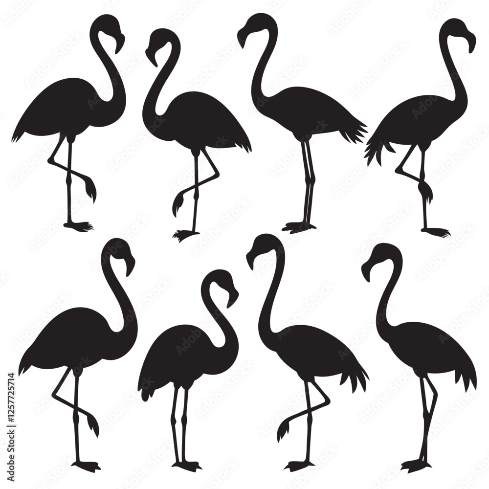 Obraz premium Flamingo silhouettes set bird pack of vector silhouette design