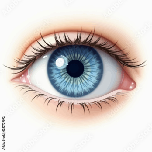 A highly detailed vector illustration of a realistic blue human eye. Ideal for medical, vision, and artistic projects.