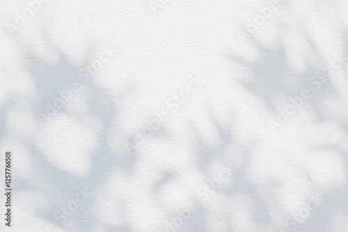 Leaf shadow and light on wall grey background. Nature tropical leaves plant tree branch shade sunshine . Sunlight on white wall texture for background wallpaper, shadows overlay effect foliage mockup photo