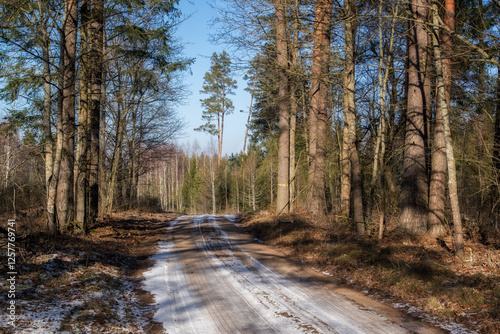 Łagodna i sucha zima w Puszczy Knyszyńskiej, Podlasie, Polska photo