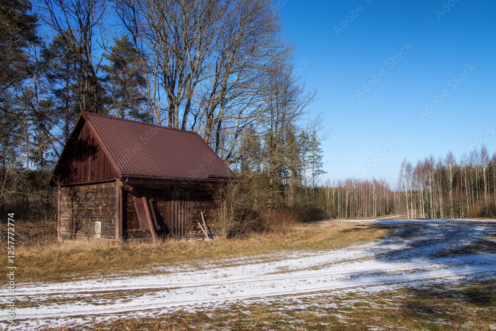 Łagodna i sucha zima w Puszczy Knyszyńskiej, Podlasie, Polska