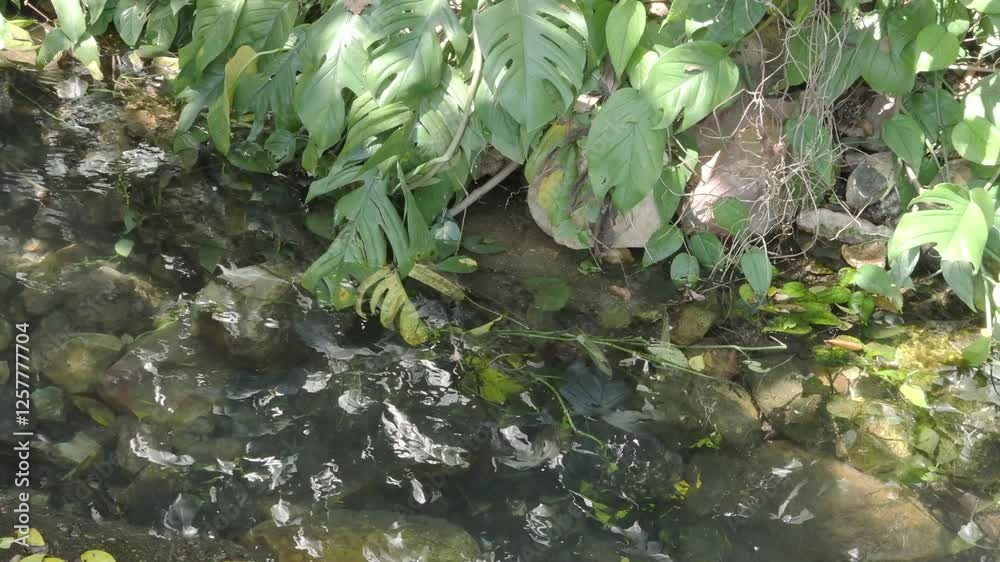 Natural mineral water source in the forest Natural mineral water source in the forest
