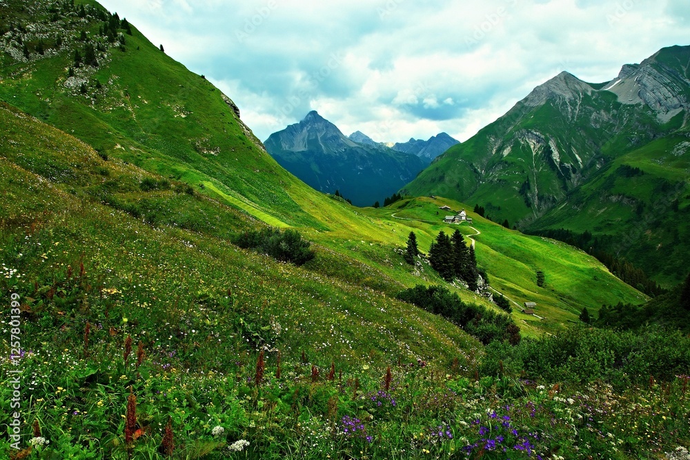 Naklejka premium Austrian Alps - view of the Biberkopf mountain near the town of Warth in the Lechtal Alps