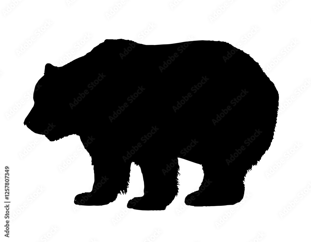 Fototapeta premium black bear on a white background,