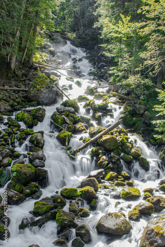 Nature’s Beauty: Majestic Waterfall in the Forests of La Vall d’Aran