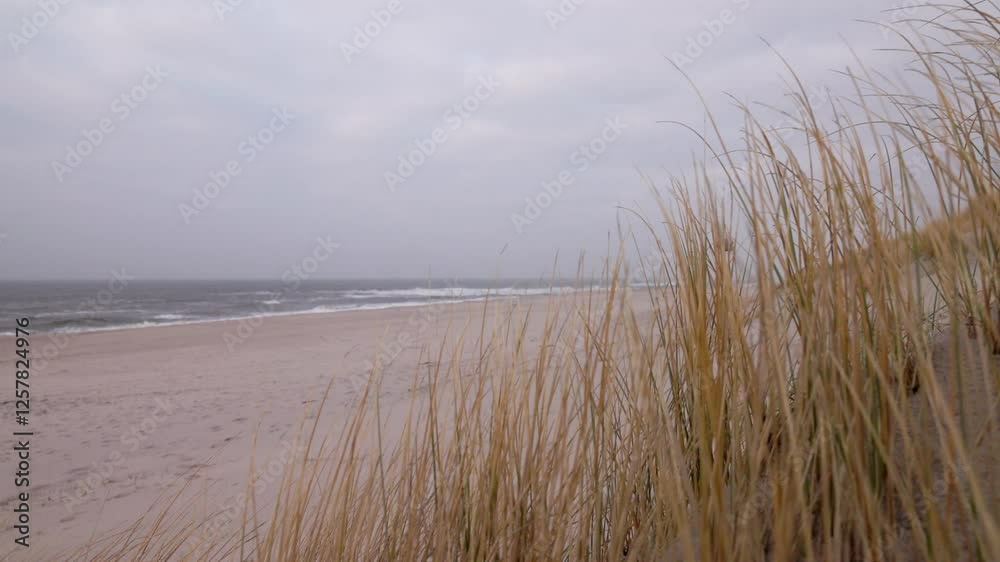 Dünenlandschaft an der Nordsee auf Sylt Dünenlandschaft an der Nordsee auf Sylt