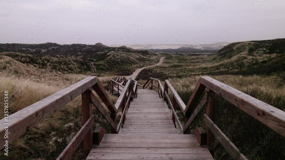 Dünenlandschaft an der Nordsee auf Sylt Dünenlandschaft an der Nordsee auf Sylt