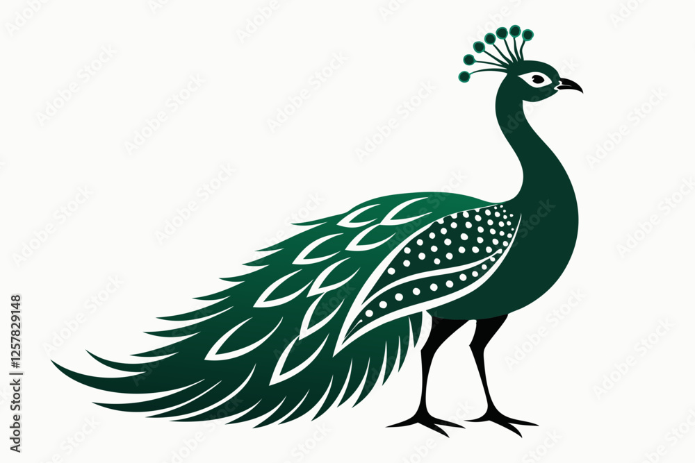 Fototapeta premium peacock vector illustration
