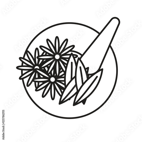 Healing medicinal plants used in natural remedies