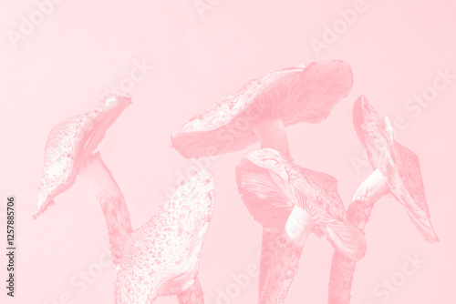 Wallpaper Mural Close up Photo of mushrooms with unusual muted pink color scheme on pastel background. Aesthetic photo. Natural textured background. Copy space. Torontodigital.ca