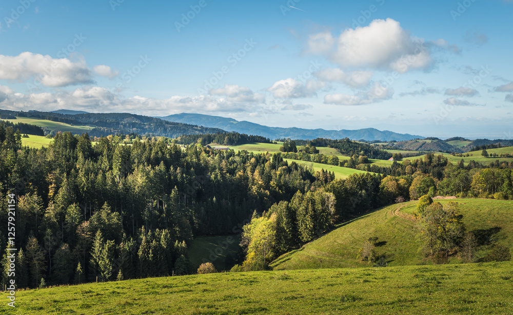 Fototapeta premium Hilly, wooded landscape in the Black Forest, St. Maergen, Baden-Wuerttemberg, Germany