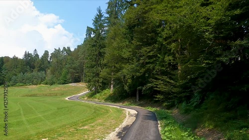 Wallpaper Mural Scenic Onboard Drive Along a Freshly Paved Asphalt Path Winding Through Nature Torontodigital.ca