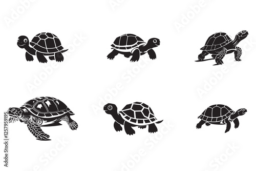 How Baby Turtles Find Their Way to the Ocean After Hatching
Turtles as Pets: What You Need to Know Before Getting One